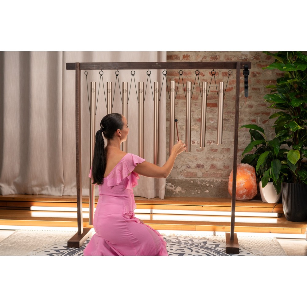 Набір чаймс MEINL Sonic Energy Sound Bath Tube Chime Solfeggio Set, Champagne Gold SBTSETSOL Набір чаймс MEINL Sonic Energy Sound Bath Tube Chime Solfeggio Set, Champagne Gold SBTSETSOL