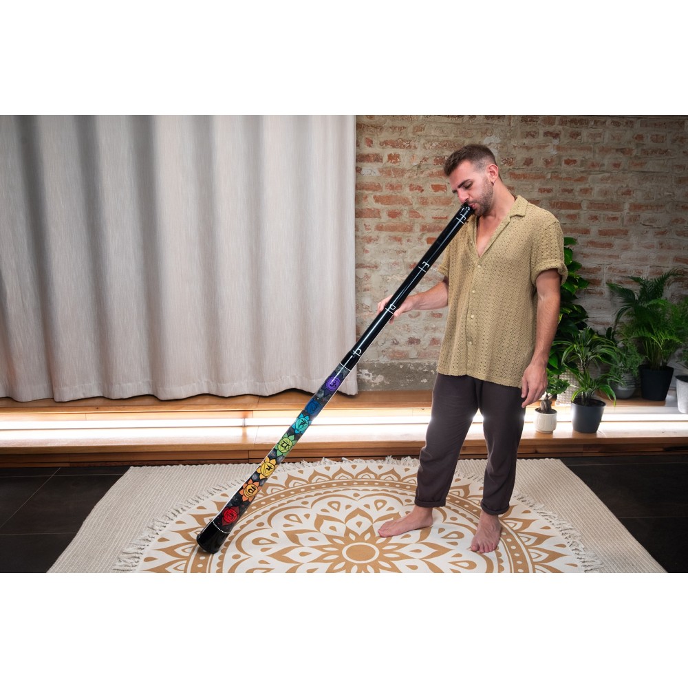 Діджеріду MEINL Sonic Energy Chakra Didgeridoo DDCHA Діджеріду MEINL Sonic Energy Chakra Didgeridoo DDCHA