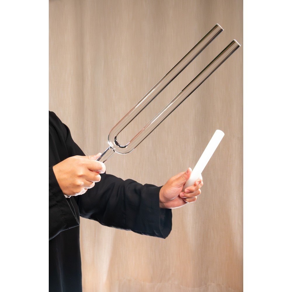 Набір камертонів MEINL Sonic Energy TCM Crystal Tuning Fork Yin & Yang Set TCMCTFSET Набір камертонів MEINL Sonic Energy TCM Crystal Tuning Fork Yin & Yang Set TCMCTFSET