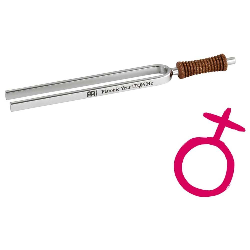 Камертон MEINL Sonic Energy Tuning Fork Platonic Year 172.06 Hz TF-E-PL Камертон MEINL Sonic Energy Tuning Fork Platonic Year 172.06 Hz TF-E-PL