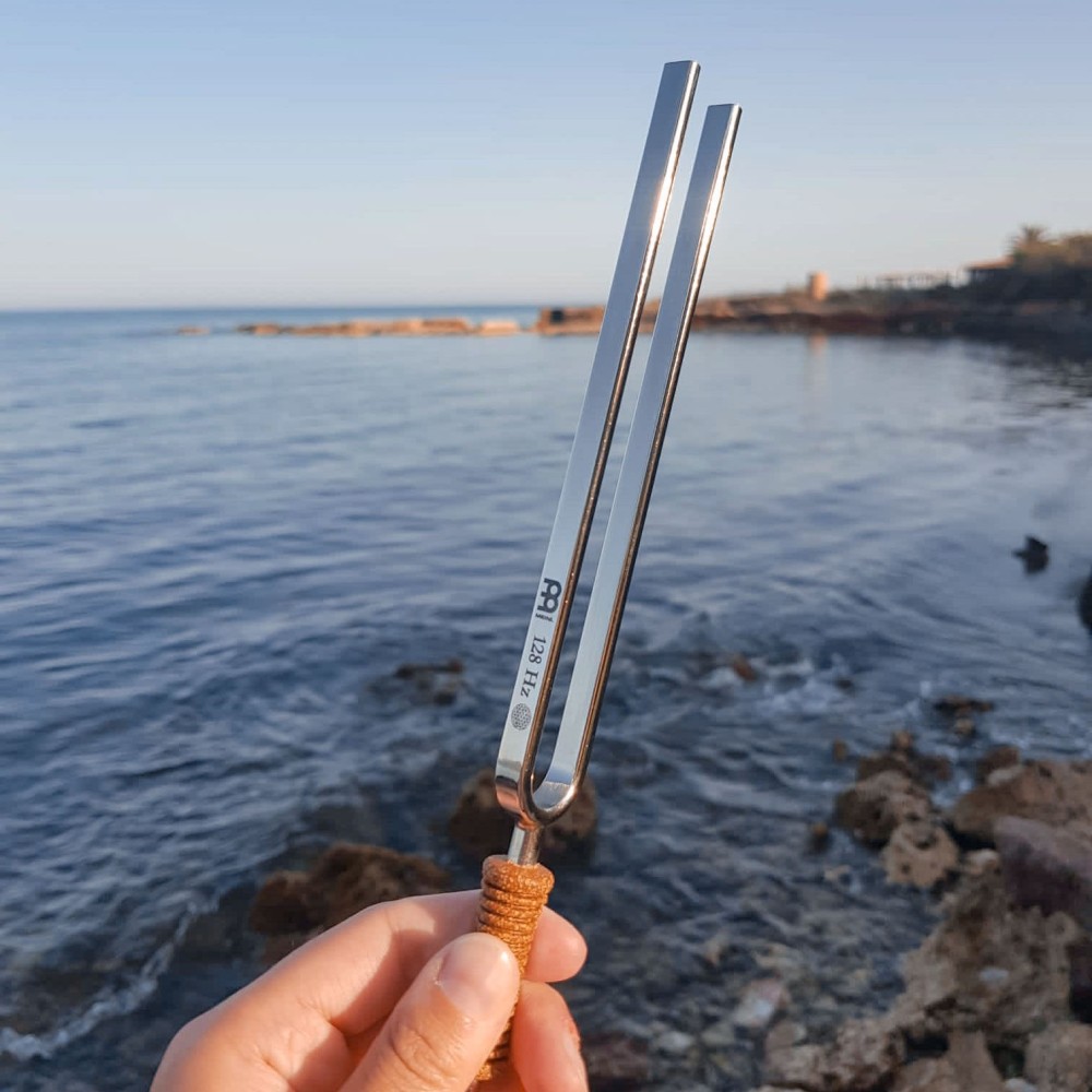 Камертон MEINL Sonic Energy Flower Of Life Tuning Fork 128 Hz TF-FOL Камертон MEINL Sonic Energy Flower Of Life Tuning Fork 128 Hz TF-FOL
