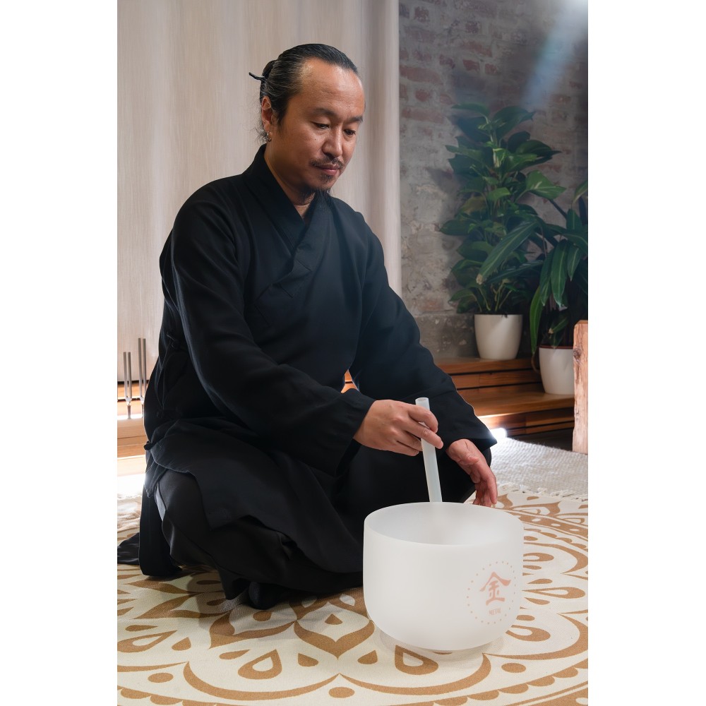 10" Співоча чаша MEINL Sonic Energy TCM Crystal Singing Bowl Metal TCMCSB10-M 10" Співоча чаша MEINL Sonic Energy TCM Crystal Singing Bowl Metal TCMCSB10-M