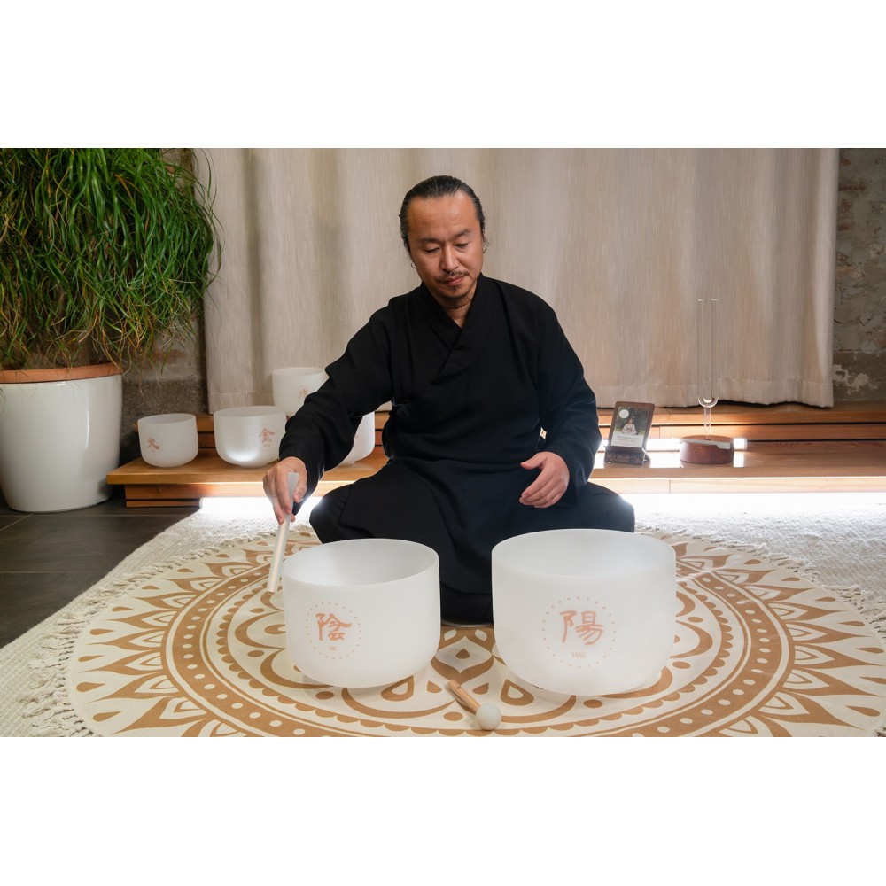 Набір співаючих чаш MEINL Sonic Energy TCM Crystal Singing Bowl Yin & Yang Set TCMCSBSET2 Набір співаючих чаш MEINL Sonic Energy TCM Crystal Singing Bowl Yin & Yang Set TCMCSBSET2