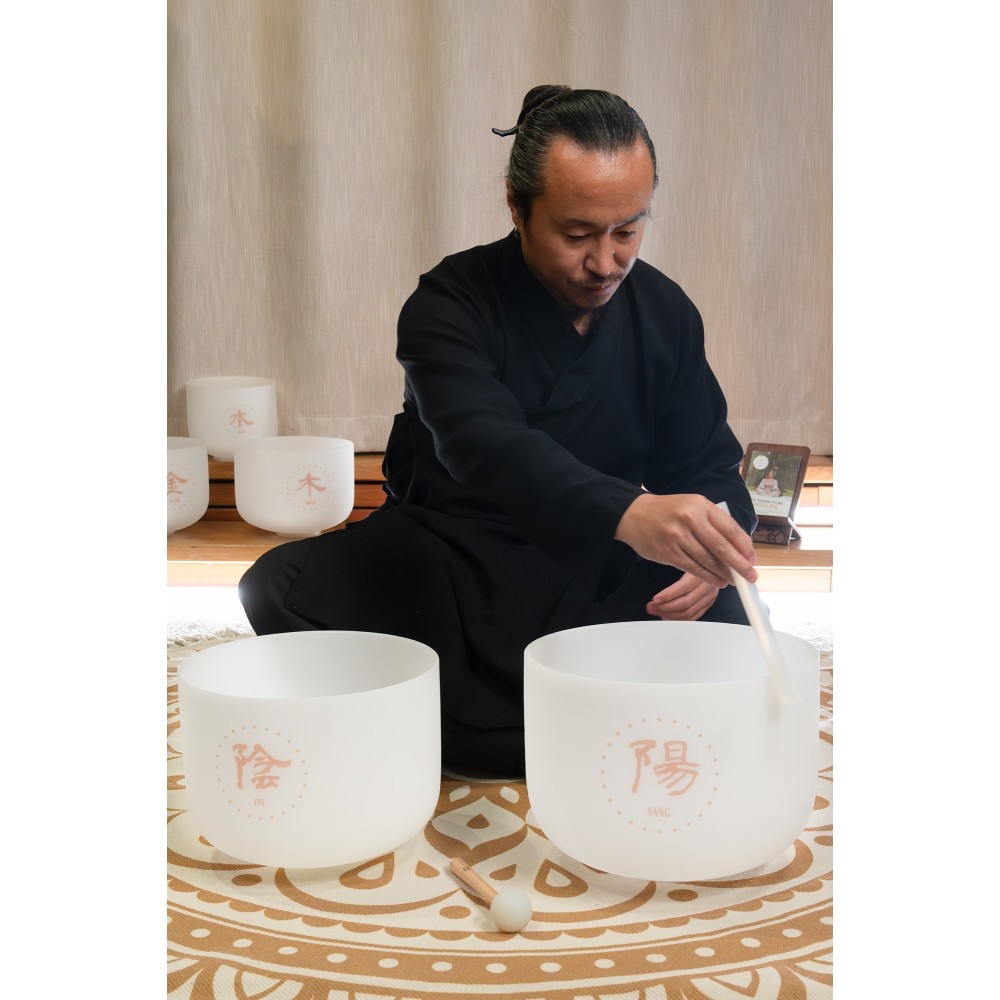 Набір співаючих чаш MEINL Sonic Energy TCM Crystal Singing Bowl Yin & Yang Set TCMCSBSET2 Набір співаючих чаш MEINL Sonic Energy TCM Crystal Singing Bowl Yin & Yang Set TCMCSBSET2