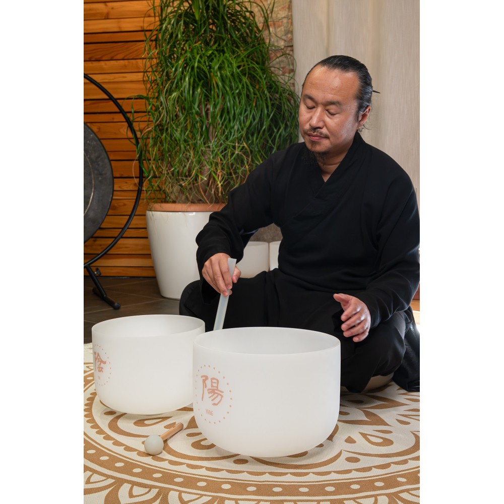 Набір співаючих чаш MEINL Sonic Energy TCM Crystal Singing Bowl Yin & Yang Set TCMCSBSET2 Набір співаючих чаш MEINL Sonic Energy TCM Crystal Singing Bowl Yin & Yang Set TCMCSBSET2