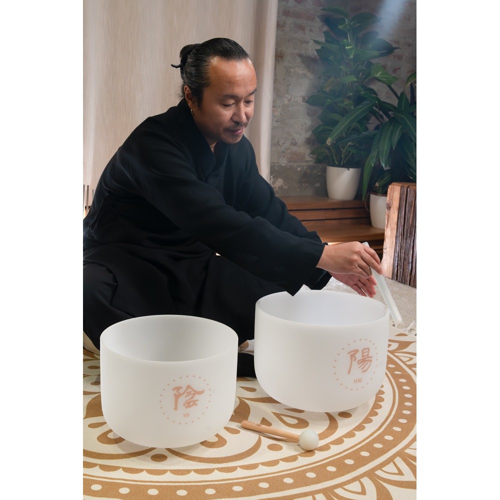Набір співаючих чаш MEINL Sonic Energy TCM Crystal Singing Bowl Yin & Yang Set TCMCSBSET2 Набір співаючих чаш MEINL Sonic Energy TCM Crystal Singing Bowl Yin & Yang Set TCMCSBSET2