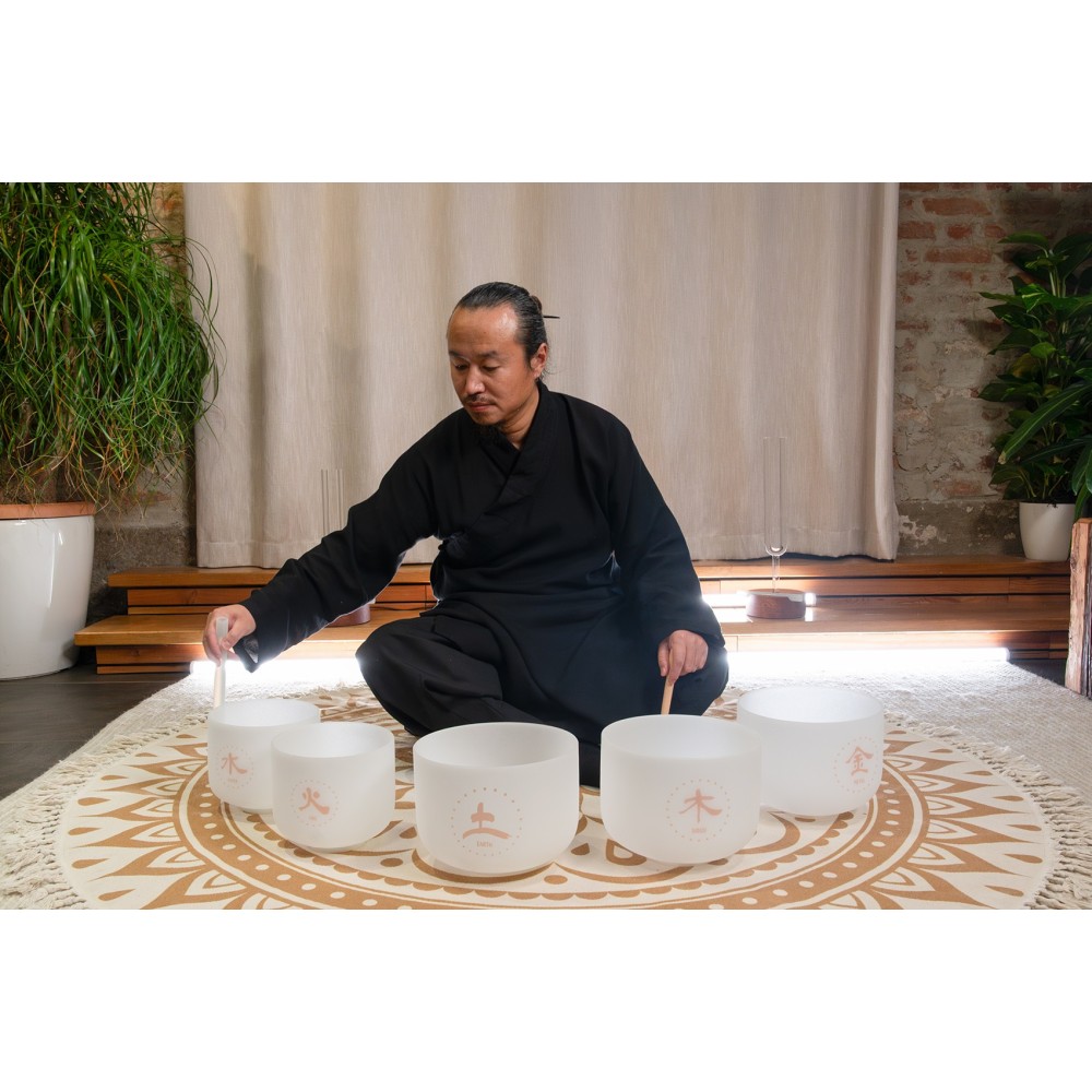 Набір співаючих чаш MEINL Sonic Energy TCM Crystal Singing Bowl Elements Set TCMCSBSET5 Набір співаючих чаш MEINL Sonic Energy TCM Crystal Singing Bowl Elements Set TCMCSBSET5