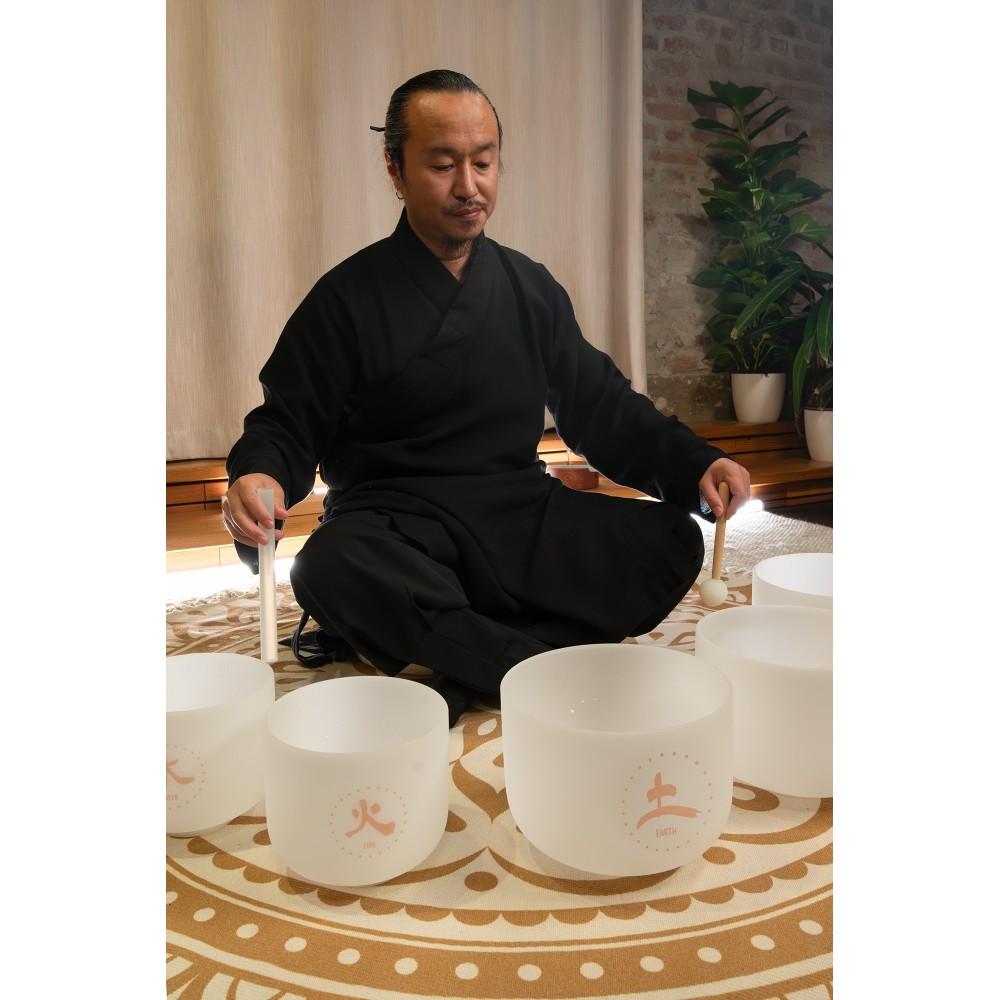 Набір співаючих чаш MEINL Sonic Energy TCM Crystal Singing Bowl Elements Set TCMCSBSET5 Набір співаючих чаш MEINL Sonic Energy TCM Crystal Singing Bowl Elements Set TCMCSBSET5