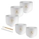Набір співаючих чаш MEINL Sonic Energy TCM Crystal Singing Bowl Elements Set TCMCSBSET5 Набір співаючих чаш MEINL Sonic Energy TCM Crystal Singing Bowl Elements Set TCMCSBSET5