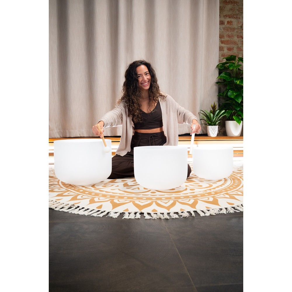 Набір співаючих чаш MEINL Sonic Energy Crystal Singing Bowls Set CSBMSETCEG Набір співаючих чаш MEINL Sonic Energy Crystal Singing Bowls Set CSBMSETCEG