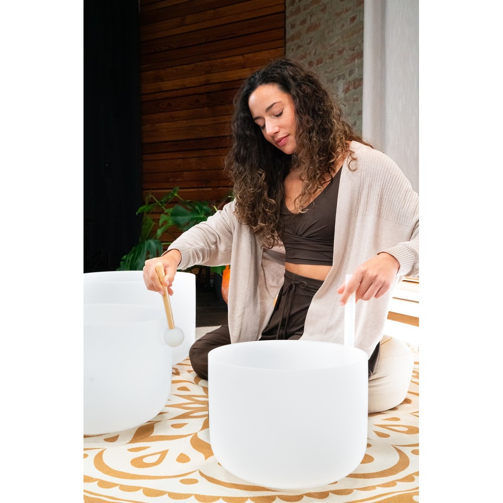 Набір співаючих чаш MEINL Sonic Energy Crystal Singing Bowls Set CSBMSETCEG Набір співаючих чаш MEINL Sonic Energy Crystal Singing Bowls Set CSBMSETCEG