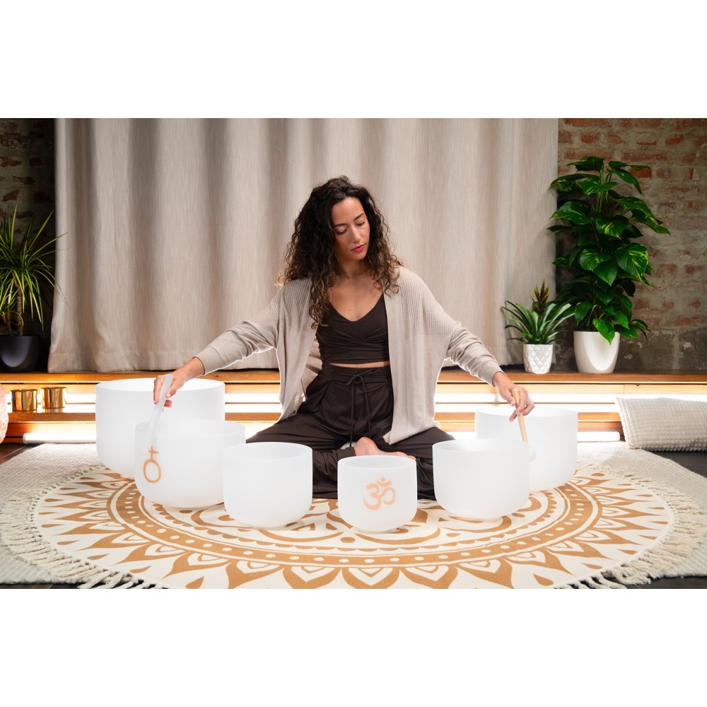 Набір співаючих чаш MEINL Sonic Energy Om Crystal Singing Bowls Set CSBSETOM6