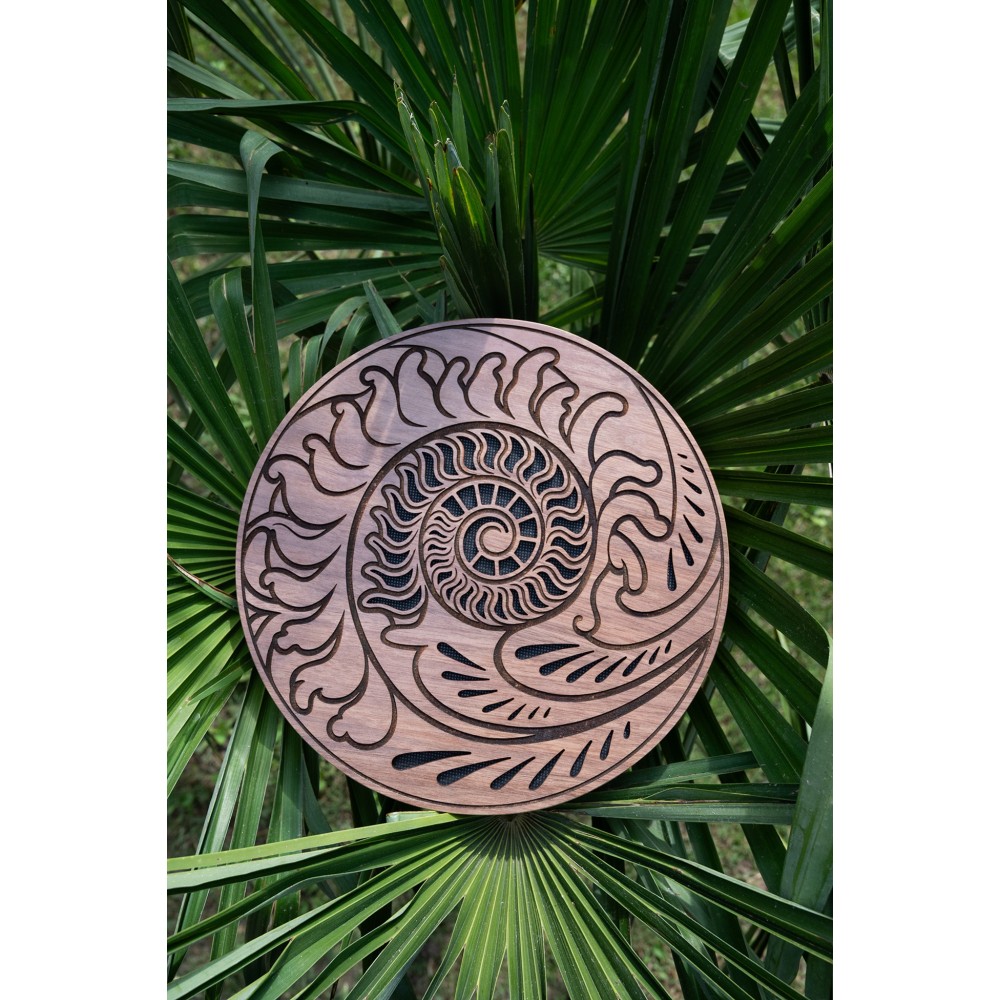 10" Рейндиск MEINL Sonic Energy Rain Disk Ocean Sound Fibonacci Inspired Carving RDO10F