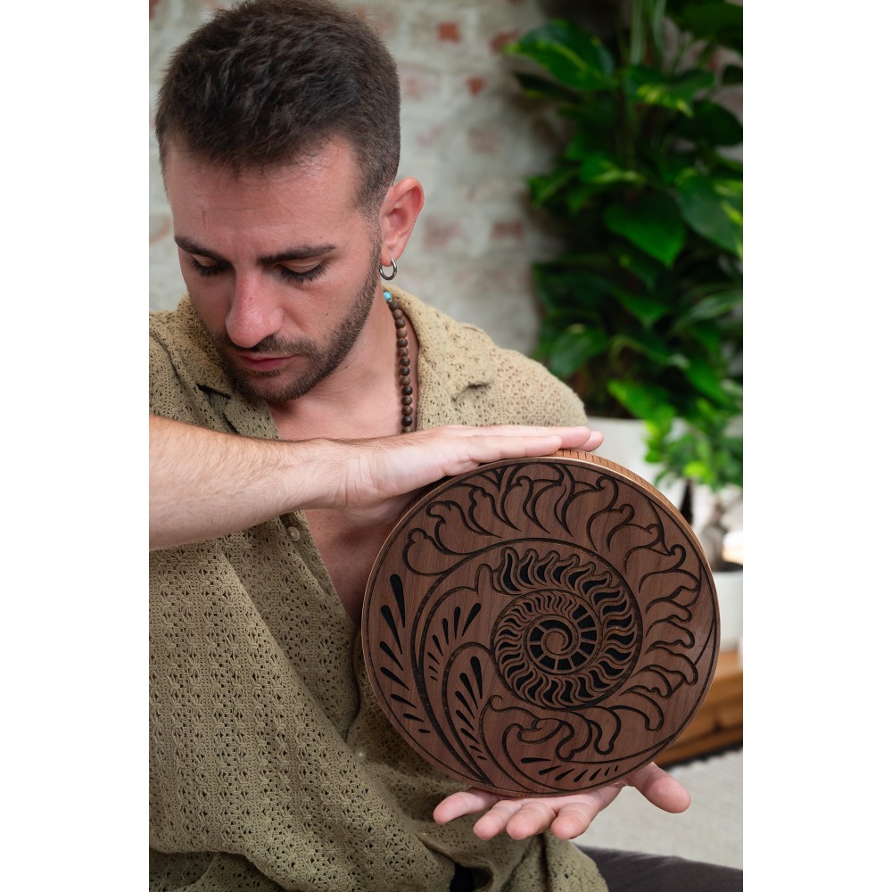 10" Рейндиск MEINL Sonic Energy Rain Disk Ocean Sound Fibonacci Inspired Carving RDO10F