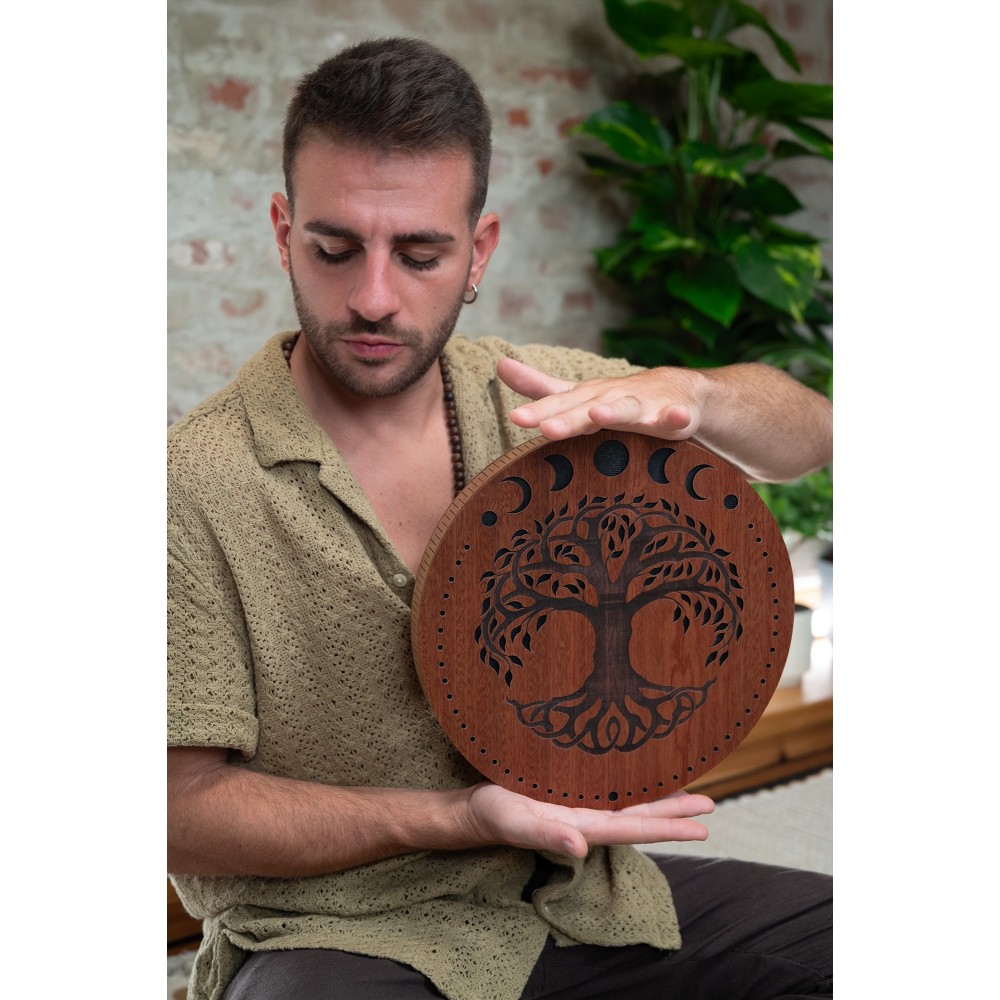 12" Рейндиск MEINL Sonic Energy Rain Disk Stream Sound Moon Phases & Tree of Life Carving RDS12MTOL