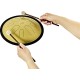 10" Глюкофон хеппі драм MEINL Sonic Energy Compact Steel Tongue Drum Gold D Minor CSTD3G