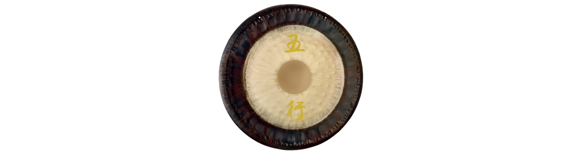 Wu Xing Gongs
