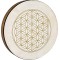 16" Фрейм барабан MEINL Sonic Energy Hand Drum Flower of Life HD16WB-FOL
